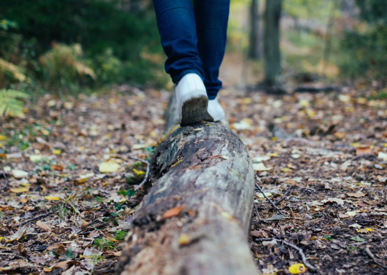 walking along fallen tree